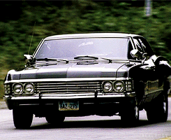 tumblr_mcy1h5qj4d1rstq9ro1_250